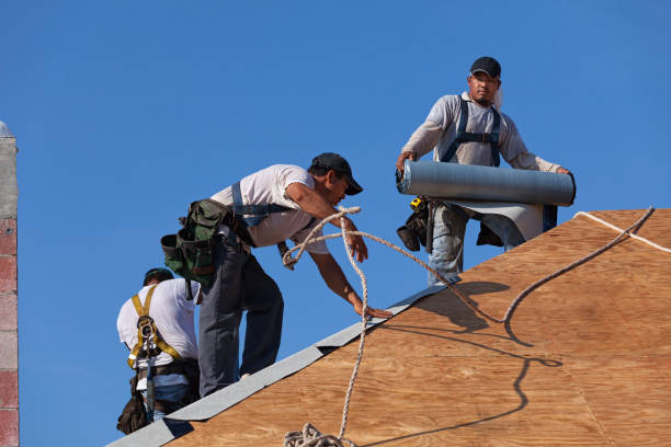 Best Flat Roof Repair Services  in New Sharon, IA